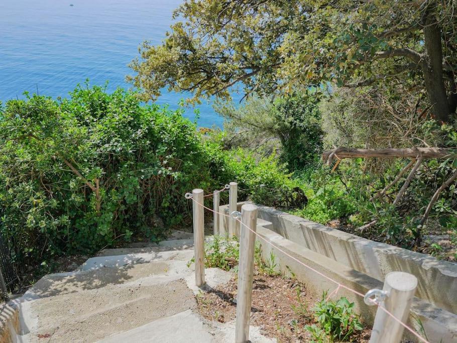 Maisonnette Avec Vue Sur La Mer Exceptionnelle Carqueiranne Exterior foto